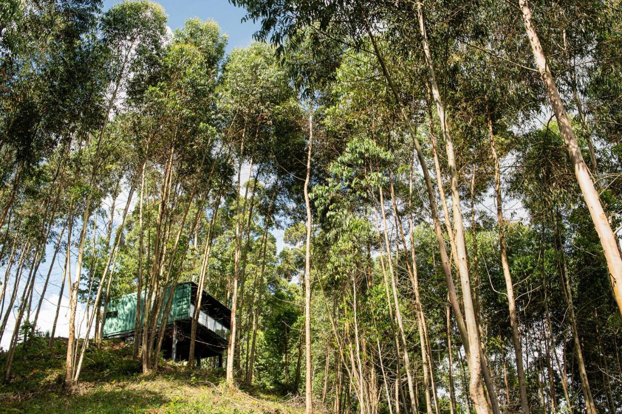 Casa Container Figo Em Meio A Natureza Na Serra Gaucha Flores da Cunha Esterno foto