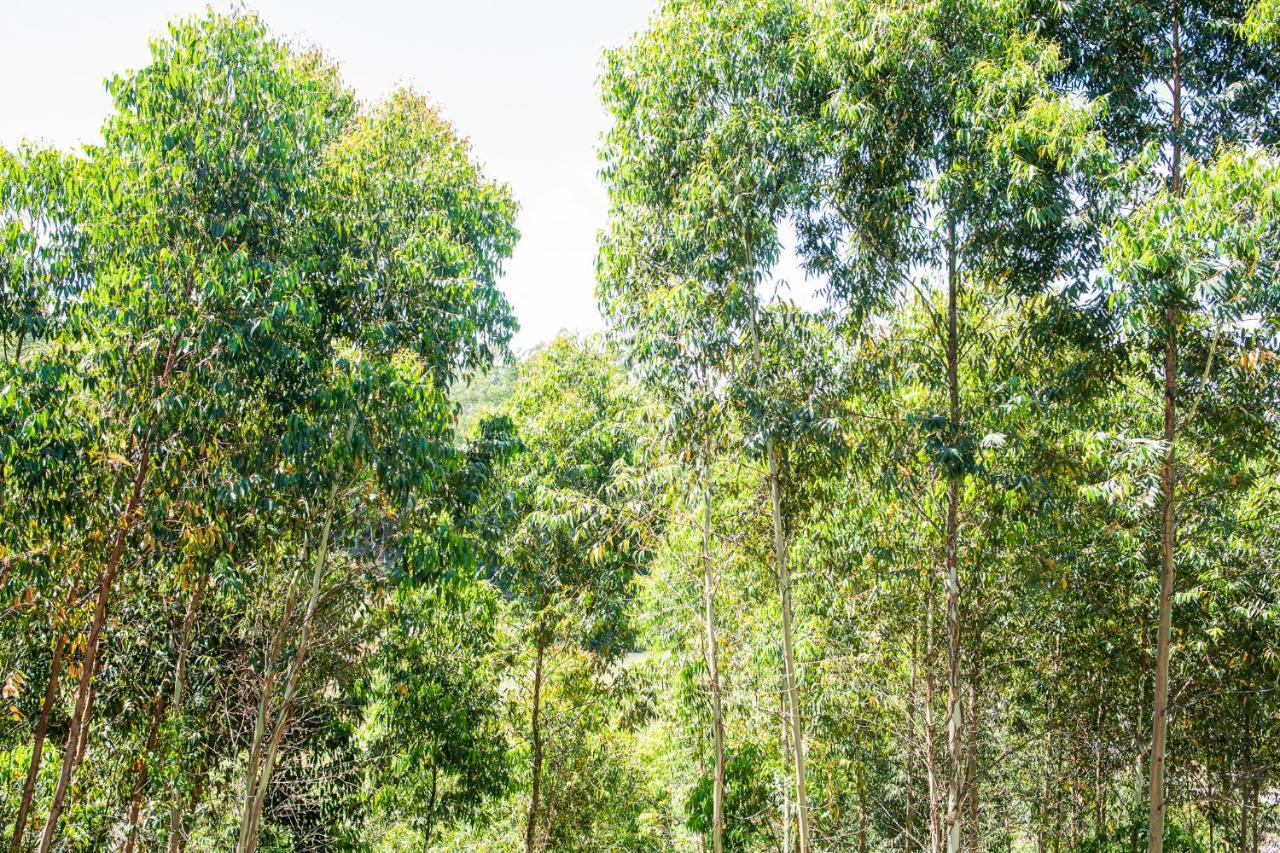 Casa Container Figo Em Meio A Natureza Na Serra Gaucha Flores da Cunha Esterno foto